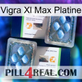 Vigra Xl Max Platinum viagra5